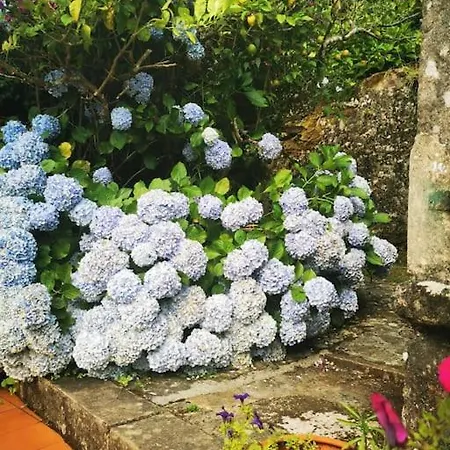 Casa vacanze Casa Cheina